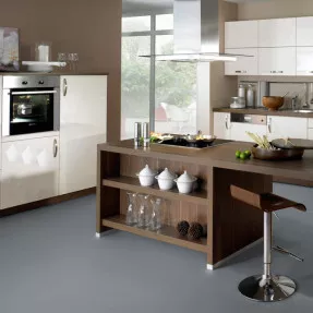 Купить Ламинат LA073CH Dusty Глянцевый 550 Color Wineo