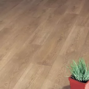 Купить Ламінат 3637 Дуб Низинний Loft Berry Alloc