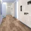 Ламінат K4361 RF Дуб Франкотренд Natural Touch 12-33 Стандарт Kaindl