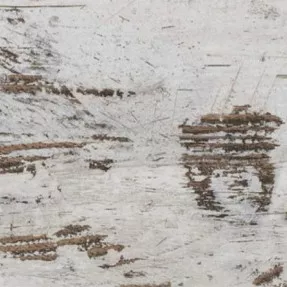 Купить Ламинат Whitewashed Oak Classen
