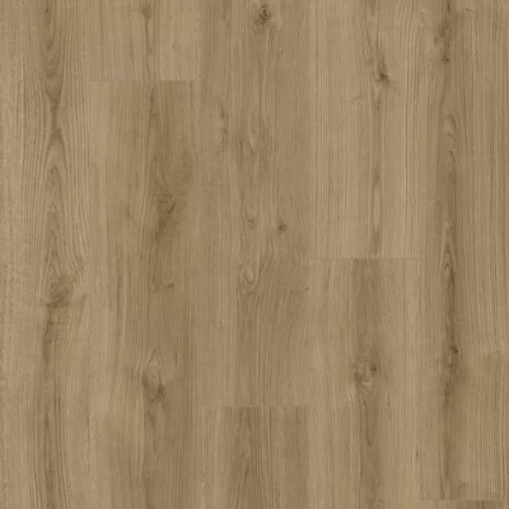 Ламинат K4421 Дуб Ивоук Тренд Natural Touch 8.0 Kaindl