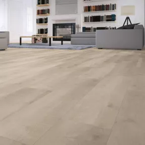 Купить Ламинат 527 Монет Solid Alsafloor