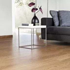 Купить Ламінат FN 103 Дуб Французький Floor Nature Rezult