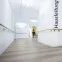 Виниловый пол DB00088 Raw Concrete Клеевой 800 Stone XL Wineo Vinil
