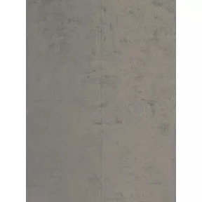 Виниловый пол DLC00089 Rough Concrete Замок 800 Stone Xl Wineo Vinil