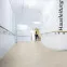 Виниловый пол DB00139 Patience Concrete Pure Клеевой 400 Stone Wineo Vinil