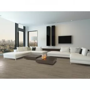 Купить Виниловый пол 4211 Natura SPC Click Fortika Ado Floor