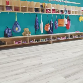 Купить Виниловый пол DB00104 Moonlight Pine Pale Клеевой 400 Wood Wineo Vinil