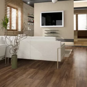 Купить Ламинат GAPLV403664 Пассат | Gaplv403664 Galaxy Plus V4 Magic Floors