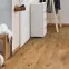 Ламинат K062 Дуб Ровенский Bellissimo Best Kronospan