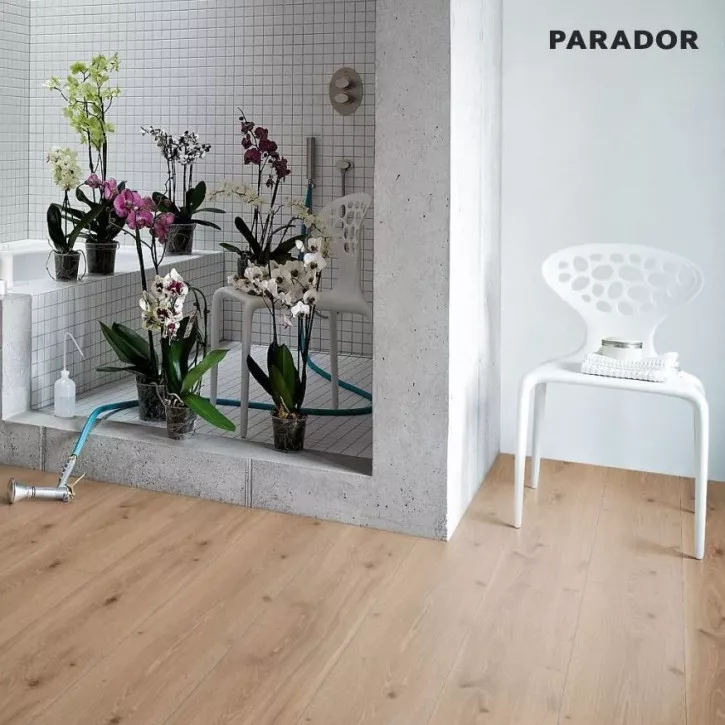 Ламинат 1371173 Дуб Кастелл Мелованная 4V Trendtime 6 Parador Ламинат 1371173 Дуб Кастелл Мелованная 4V Trendtime 6 Parador
