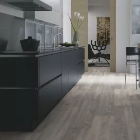 Купить Ламинат OL730 Дуб Аляска Egger