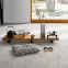 Ламинат 1732221 Hadi Teherani New Concrete Edition 1 Parador