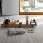 Ламинат 1732223 Hadi Teherani New Oak Edition 1 Parador