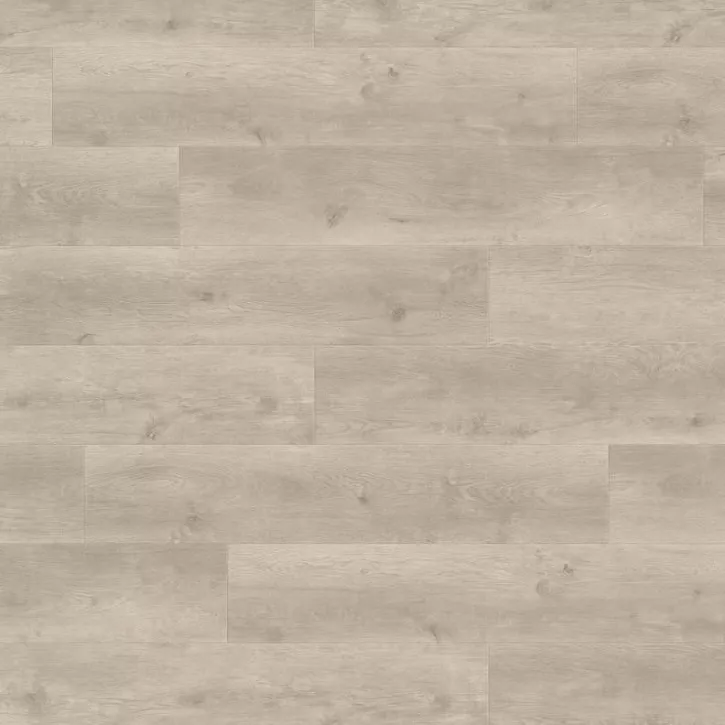Ламінат 538748 Oak Bergamo Silver Grey Tritty 100 Campus 4V Haro