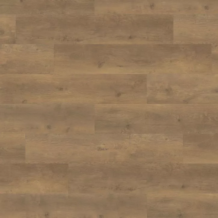 Ламінат 538747 Oak Bergamo Nature Tritty 100 Campus 4V Haro