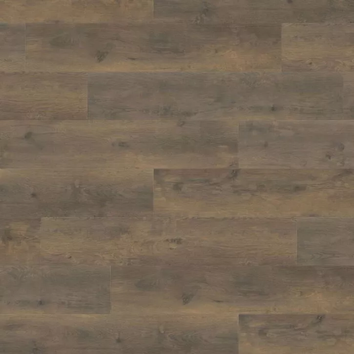 Ламінат 538749 Oak Bergamo Antique Smoked Tritty 100 Campus 4V Haro
