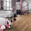 Ламинат 2594 Дуб Селтик Progress Kronopol