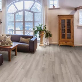 Купить Ламинат R1009 Дуб Silver Loft Rooms