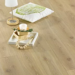 Купить Ламинат 702 Дуб Аристотель Solid Plus Alsafloor